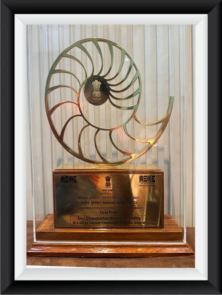National Award - 2013