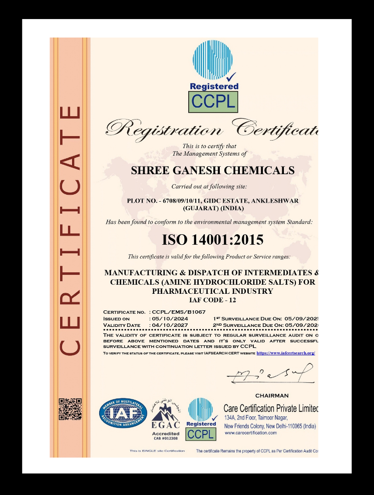 ISO 14001 - Shree Ganesh Chemical