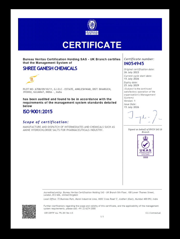 ISO 9001 2025 - Shree Ganesh Chemical